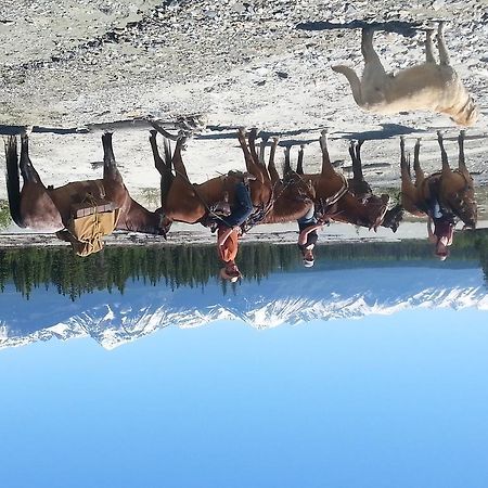 Bear Corner Adventures Bed & Bale Hotel โกลเดน ภายนอก รูปภาพ