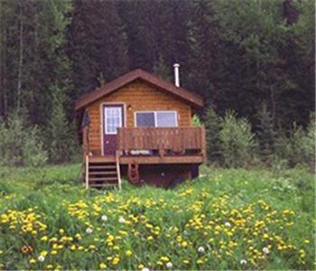 Bear Corner Adventures Bed & Bale Hotel โกลเดน ภายนอก รูปภาพ