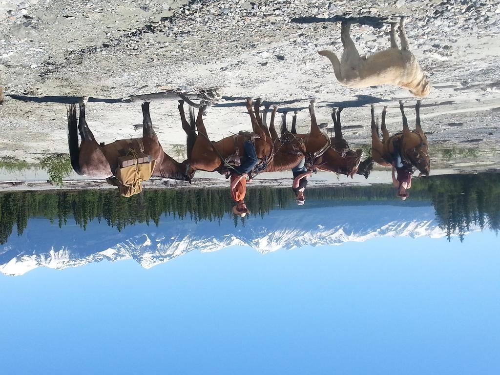 Bear Corner Adventures Bed & Bale Hotel โกลเดน ภายนอก รูปภาพ