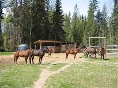 Bear Corner Adventures Bed & Bale Hotel โกลเดน ภายนอก รูปภาพ